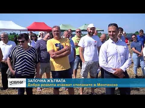 Започна жътвата: Добра реколта очакват стопаните в Монтанско