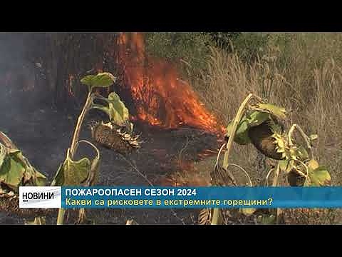 Пожароопасен сезон 2024: Какви са рисковете в екстремните горещини?