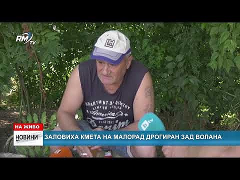 Заловиха кмета на Малорад дрогиран зад волана