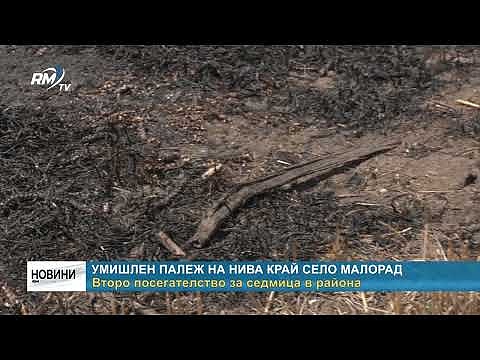 Умишлен палеж на нива край село Малорад - второ посегателство за седмица в района
