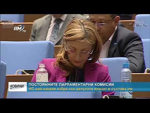Постоянните парламентарни комисии: НС най-накрая избра кои депутати влизат в състава им