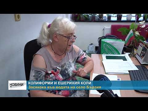 Колиформи и ешерихия коли: Засякоха във водата на село Бързия