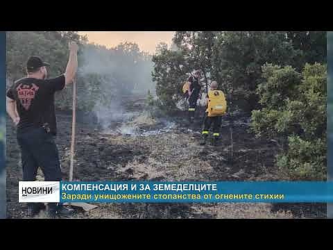 Компенсация и за земеделците: Заради опожарените стопанства