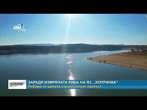 Заради измрялата риба на яз. „Копринка”: Рибари от цялата страна готвят протест 