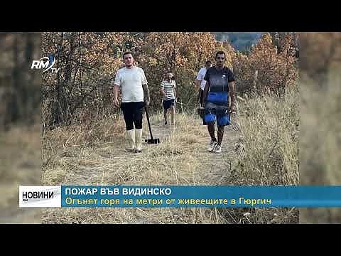 Пожар във Видинско