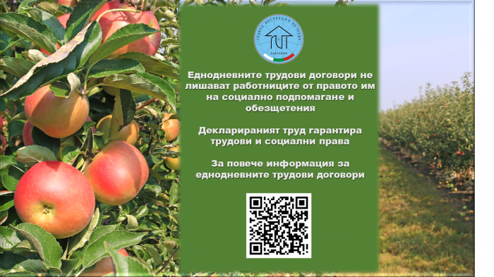 ГИТ с важна информация за еднодневните договори