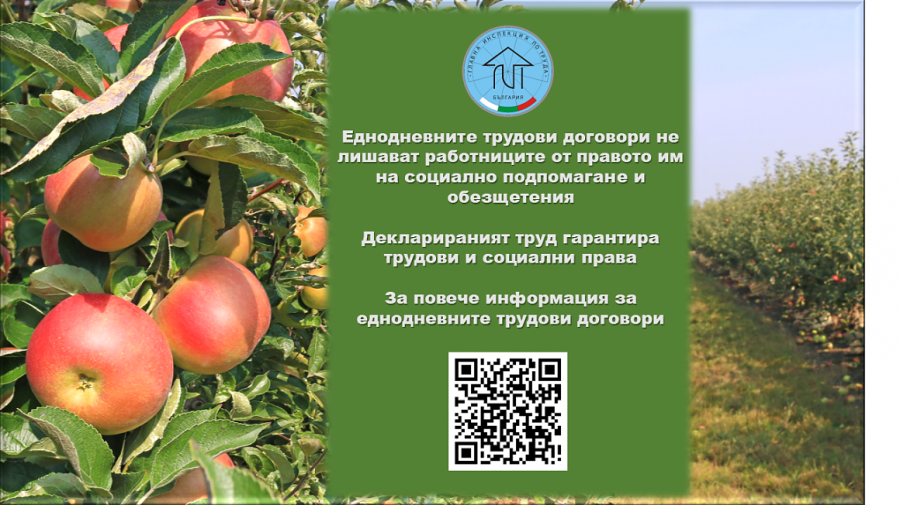 ГИТ с важна информация за еднодневните договори