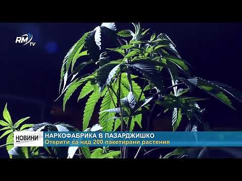 Наркофабрика в Пазарджишко: Открити са над 200 пакетирани растения