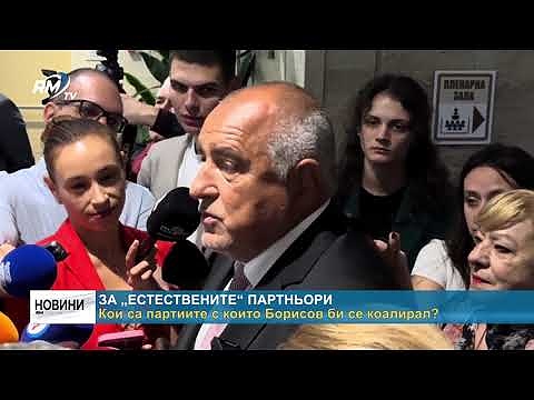 За „естествените“ партньори: Кои са партиите с които Борисов би се коалирал?