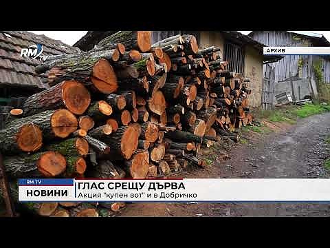 Глас срещу дърва: Акция \"купен вот\" и в Добричко