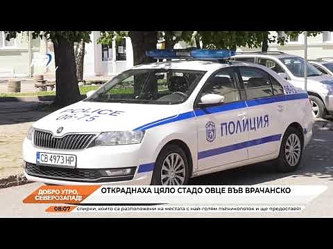 Добро утро, Северозапад! 21.10.2024 г. 