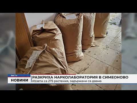 Разкриха нарколаборатория в Симеоново: Иззети са  275 растения, задържани са двама