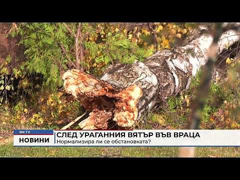 След ураганния вятър във Враца: Нормализира ли се обстановката?