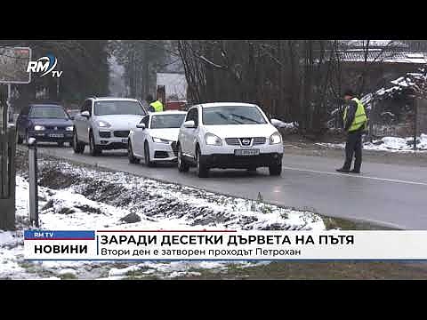 Заради десетки дървета на пътя: Втори ден е затворен проходът Петрохан