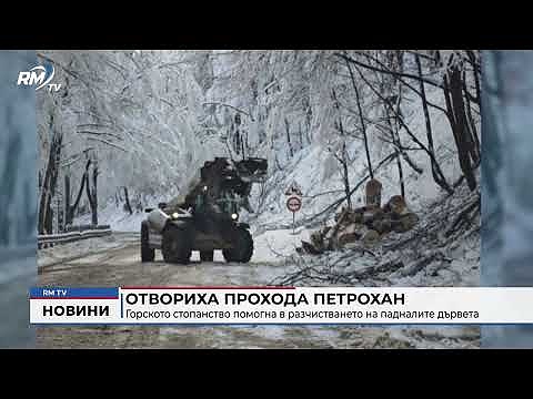 Отвориха прохода Петрохан: Горското стопанство помогна в разчистването на падналите дървета
