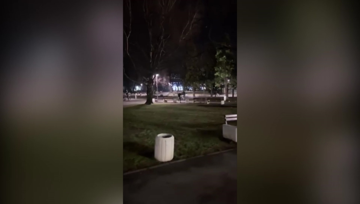 Нападнат от \