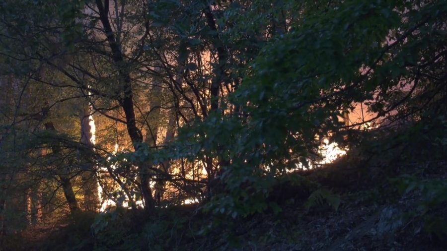 В знак на признателност: Дават 14 млн. лв. за техника и екипировка на доброволците 