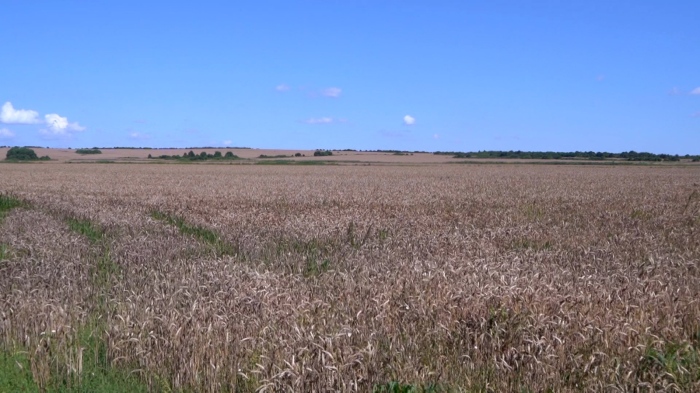 Компенсации за земеделците Заради щетите по насажденията им през пролетта 