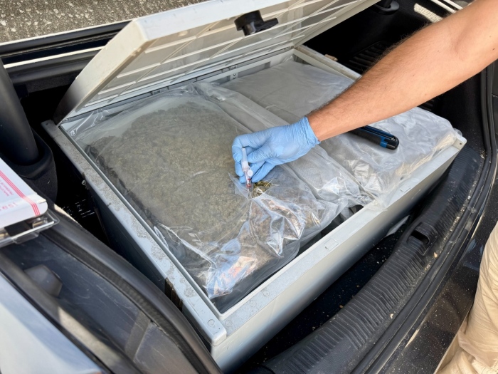 ГДБОП задържа двама с 15 килограма канабис в София