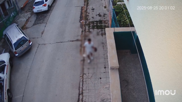 Шокираща жестокост: Младеж уби малко коте в Севлиево