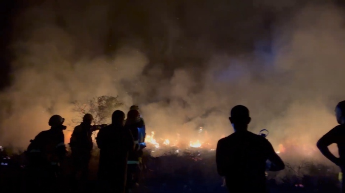 Пожар в Рила: Огънят унищожи 70 дка иглолистна гора 