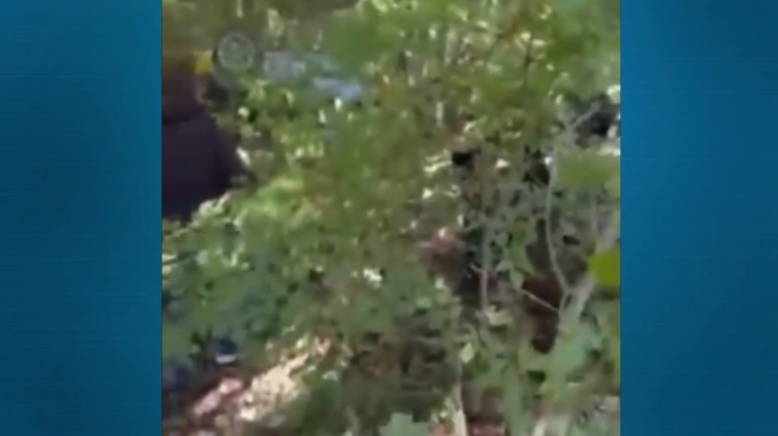 Тежък инцидент на рали във Варна: Отрицателна е пробата на шофьора, врязал се в публиката