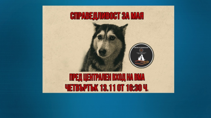 Организират протест за кучето Мая