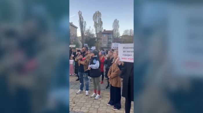 Протест за прегазеното куче Мая: Наложиха парична гаранция от 5 хил. лв. на лекаря, прегазил Мая