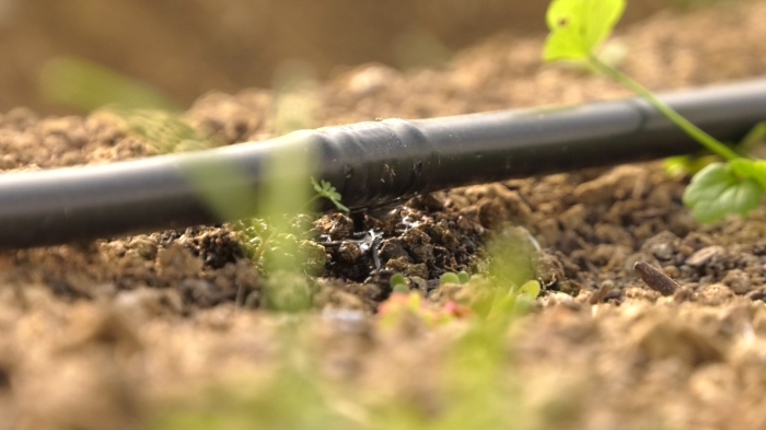 Европрокуратурата с акция у нас: Разследва се източване на селскостопански фондове 