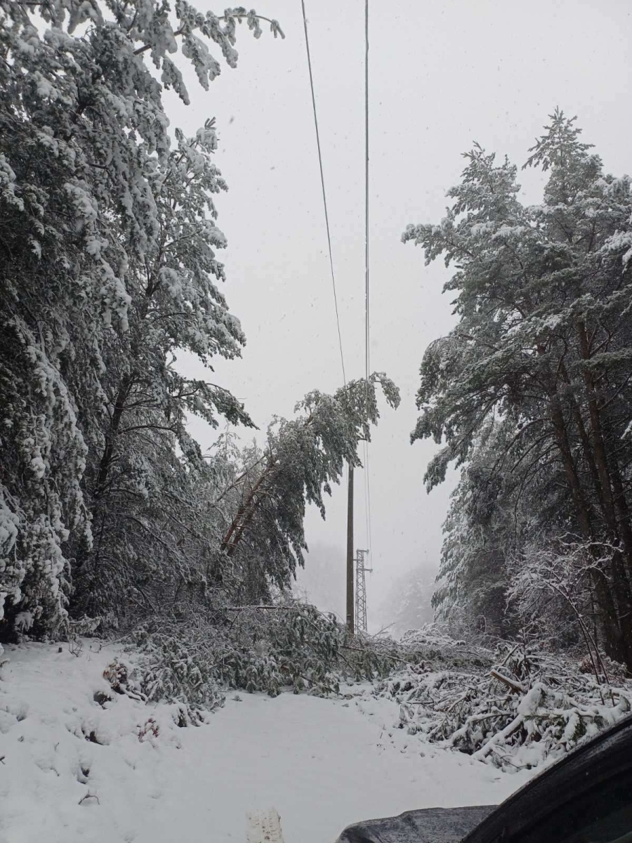 Становище на \