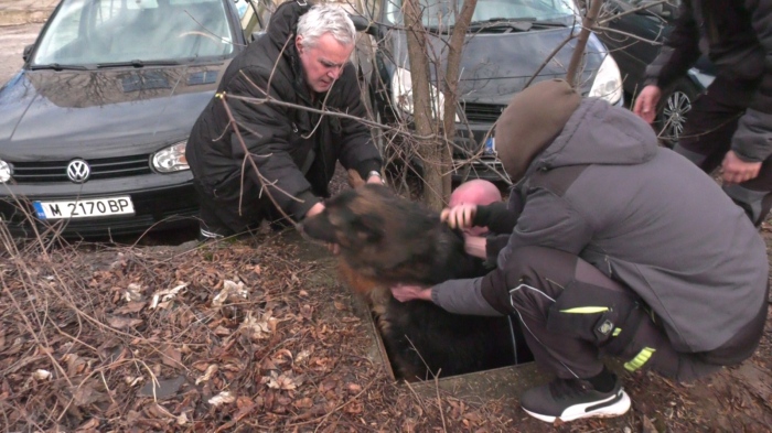 Спасителна акция с щастлив край: Екип на Римекс извади куче от шахта