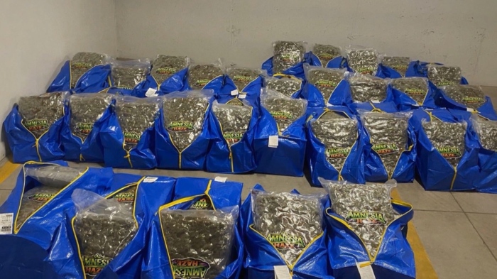 Заловиха над 240 кг наркотици и оръжие: При съвместна акция на ГДБОп и ДАНС