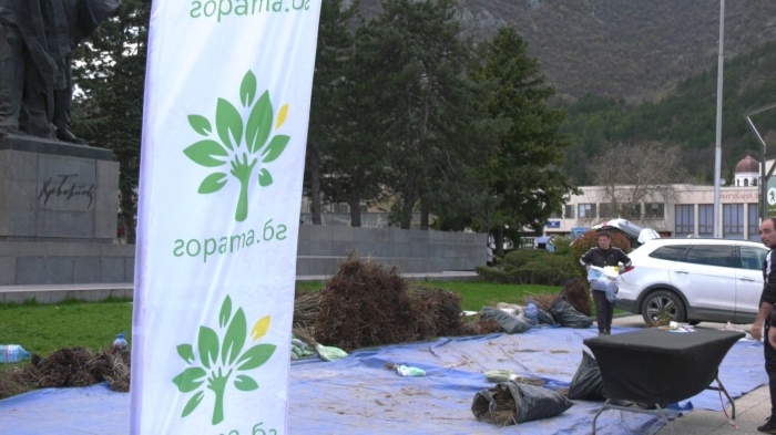 23 хил. дръвчета раздадоха във Враца: Гората.бг завърши успешен сезон