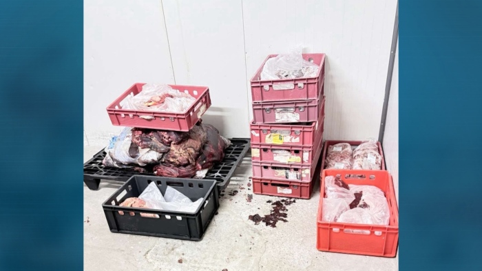 Затвориха месокомбинат в Свиленград: БАБХ иззе над 38 т негодни храни от животински произход